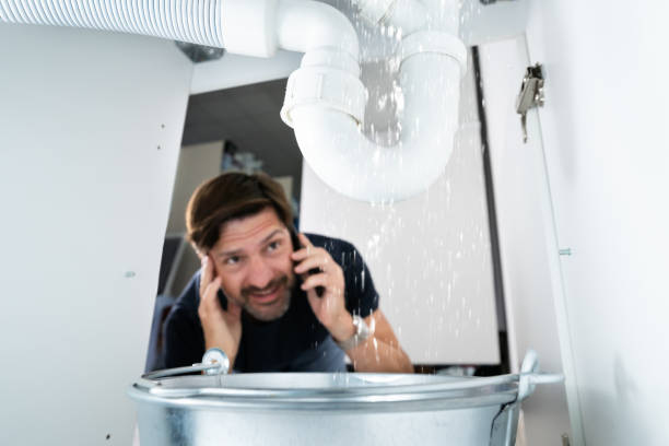 Best Plumbing Inspection Services  in Marienville, PA